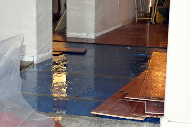 Professional Basement Flood Cleanup technician working in Kingsley, IA